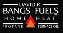 Logo-Bangs Fuels